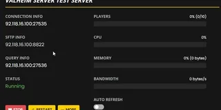 Can't Connect to Server to your Valheim server?