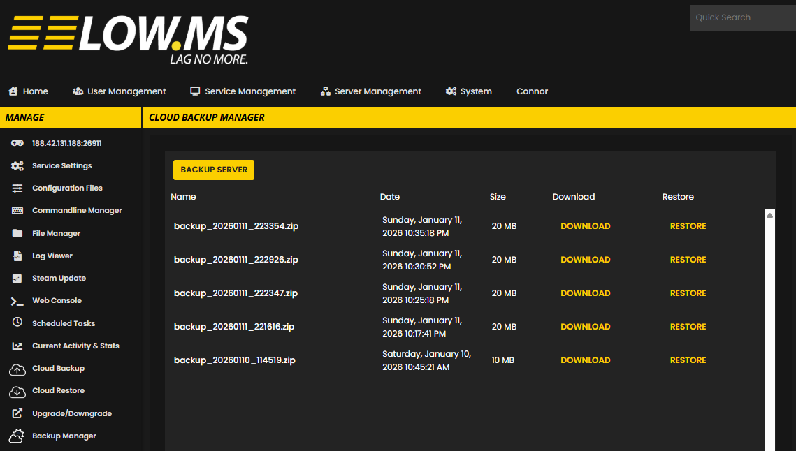 Backup Manager Interface